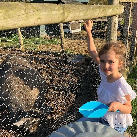 Willow Court Farm Studio South & Petting Farm, 8 Mins From Legoland & Windsor, 15 Mins From Lapland Uk Exterior photo