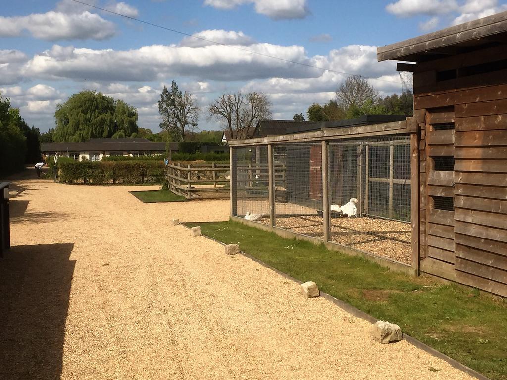 Willow Court Farm Studio South & Petting Farm, 8 Mins From Legoland & Windsor, 15 Mins From Lapland Uk Exterior photo