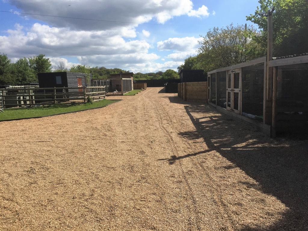 Willow Court Farm Studio South & Petting Farm, 8 Mins From Legoland & Windsor, 15 Mins From Lapland Uk Exterior photo
