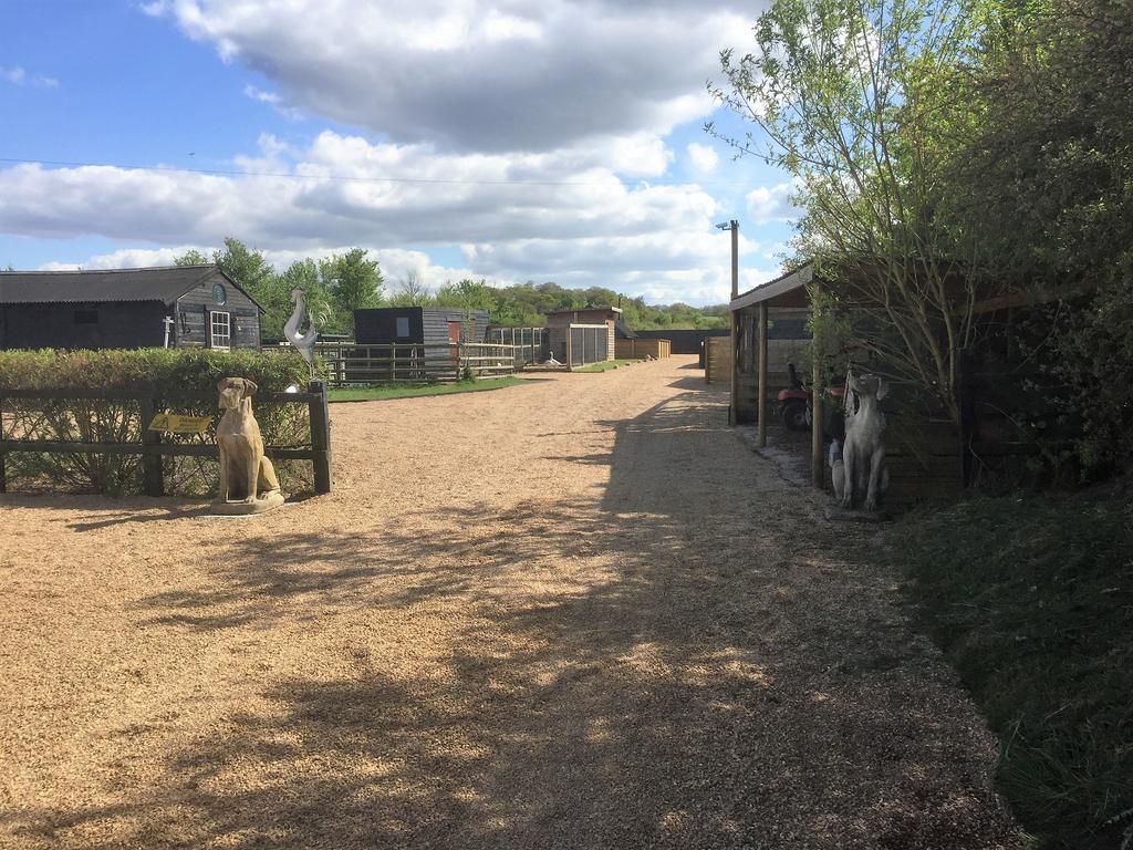 Willow Court Farm Studio South & Petting Farm, 8 Mins From Legoland & Windsor, 15 Mins From Lapland Uk Exterior photo