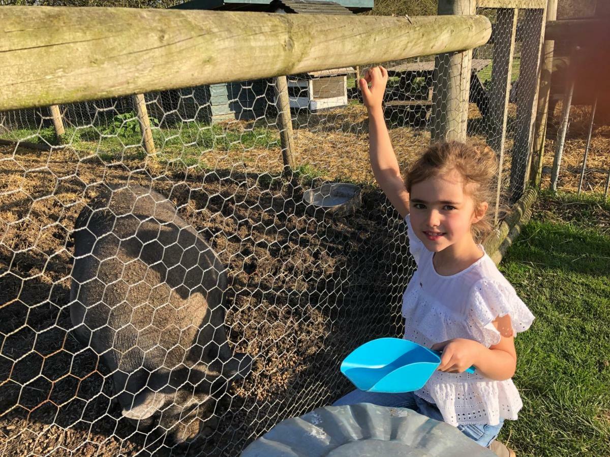 Willow Court Farm Studio South & Petting Farm, 8 Mins From Legoland & Windsor, 15 Mins From Lapland Uk Exterior photo